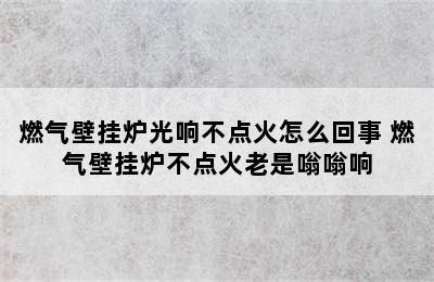 燃气壁挂炉光响不点火怎么回事 燃气壁挂炉不点火老是嗡嗡响